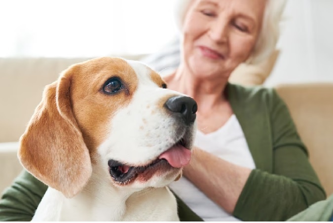 женщина и собака