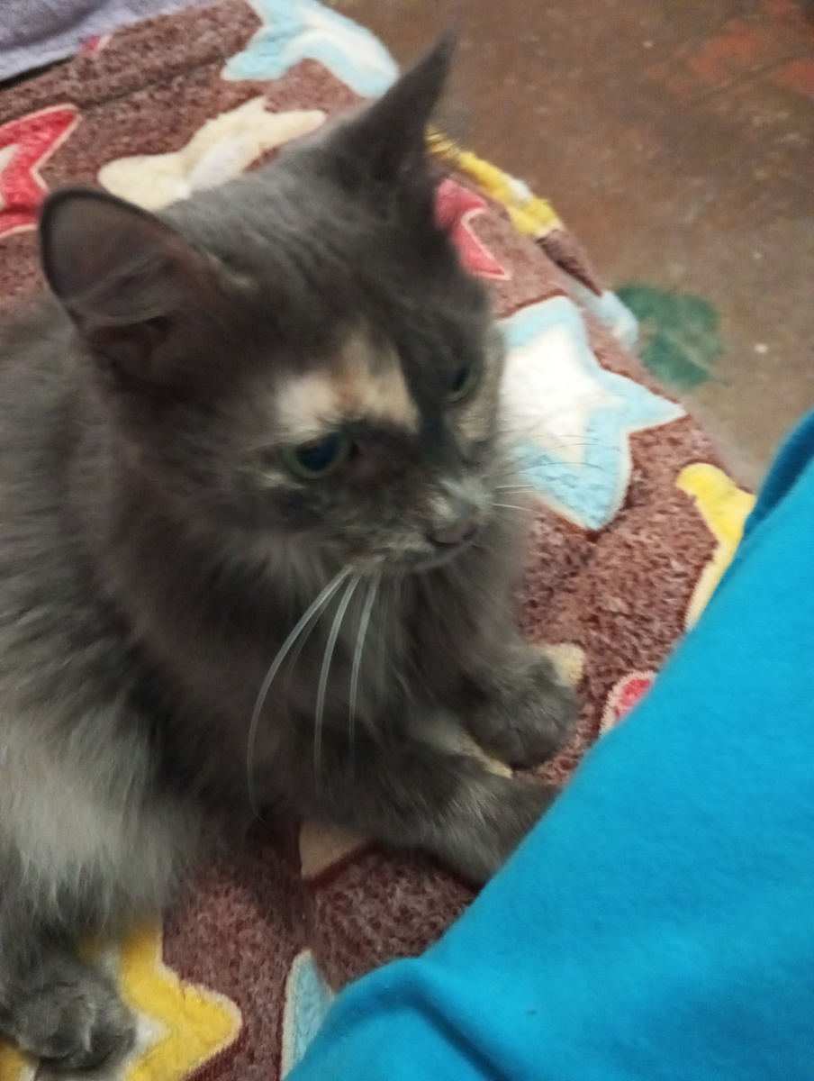 Фото Зайки.#Иркутская Наташа.