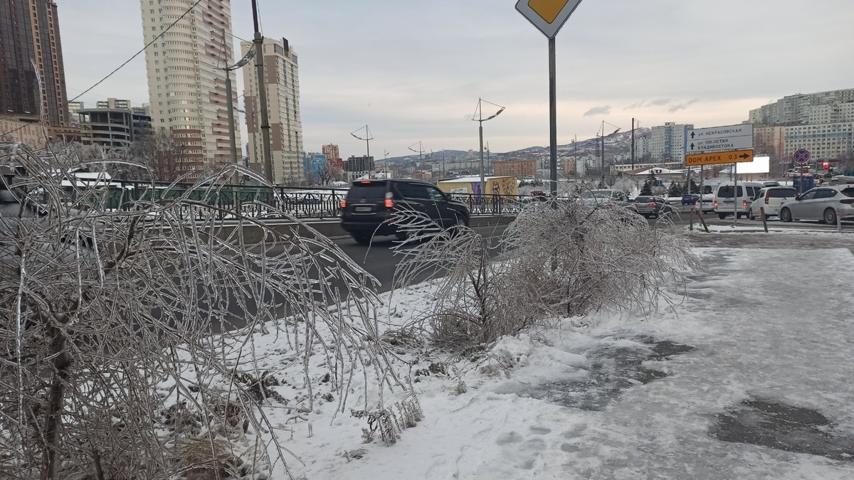     Источник: vostokmedia.com