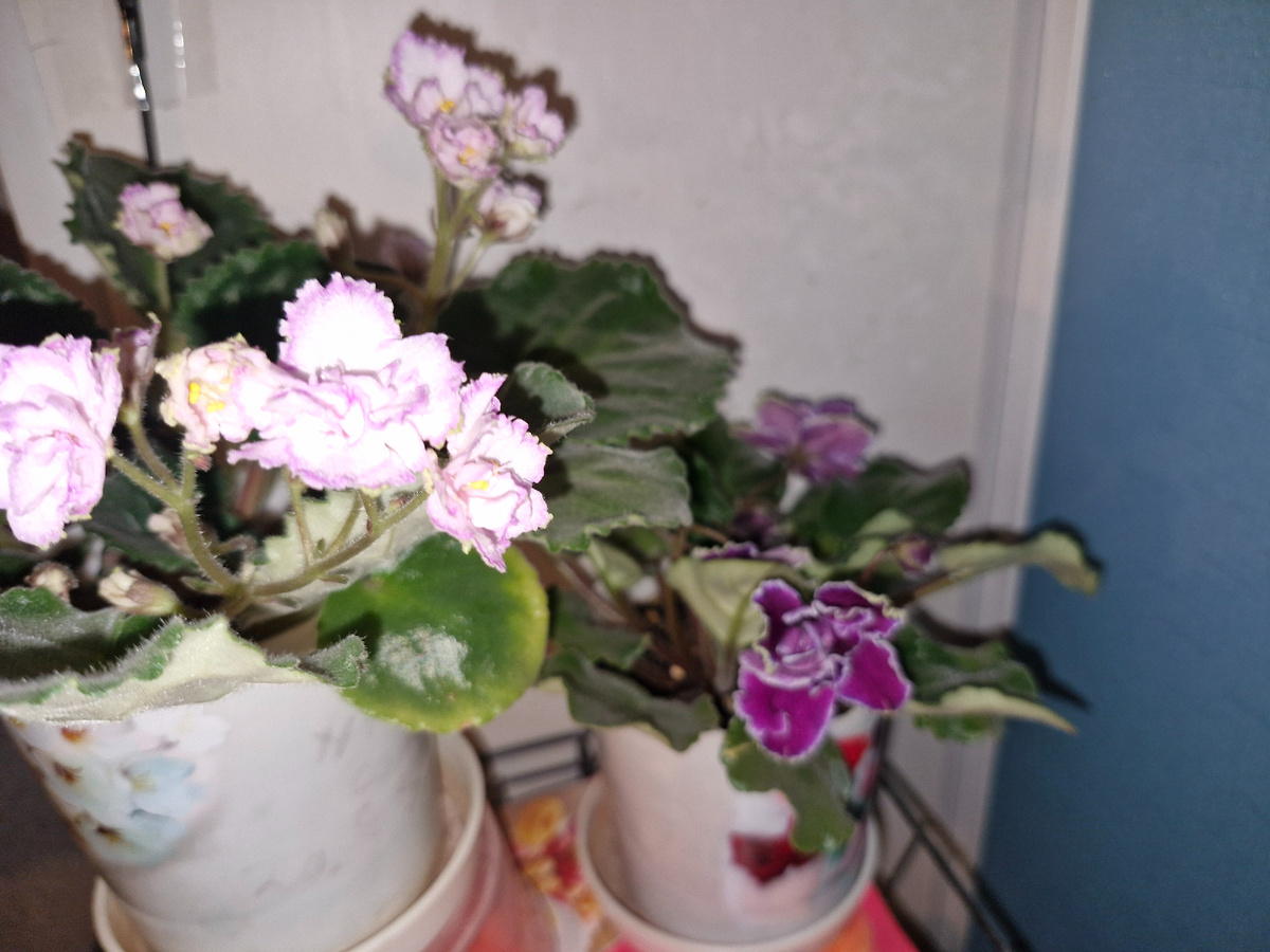 Личное фото