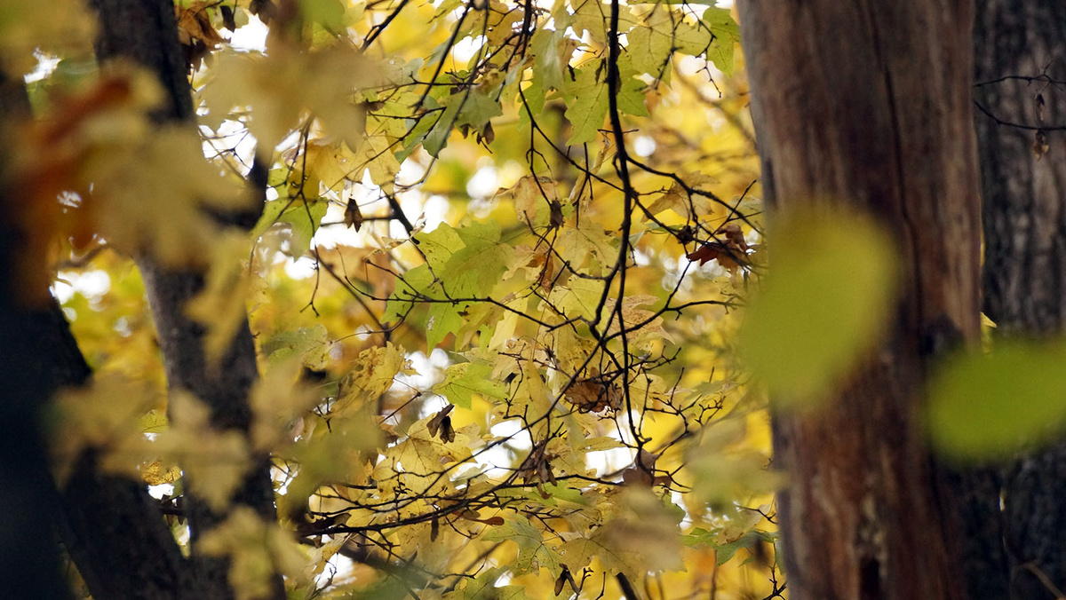    Фото: Сергей Егоров