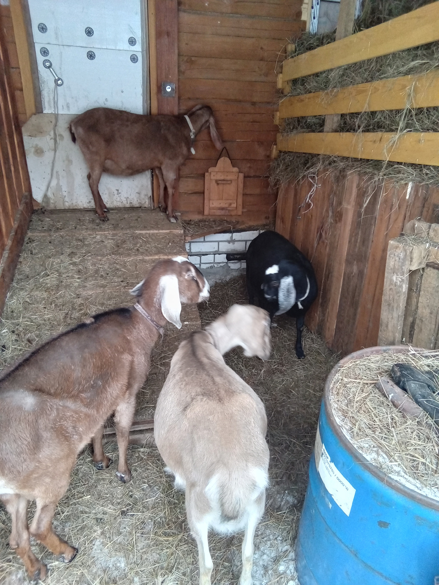 Фото автора.