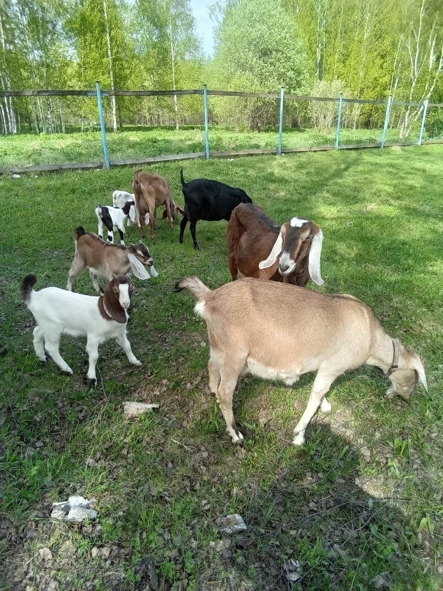 Фото автора.