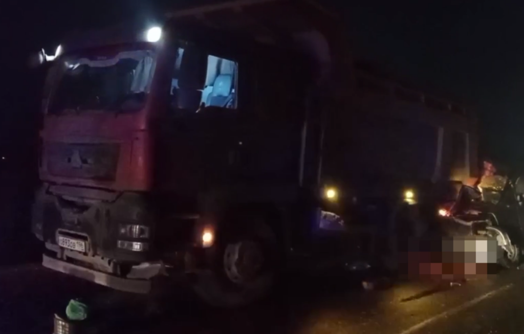    Фото: пресс-служба госавтоинспекции Пермского края Ульяна Бажанова