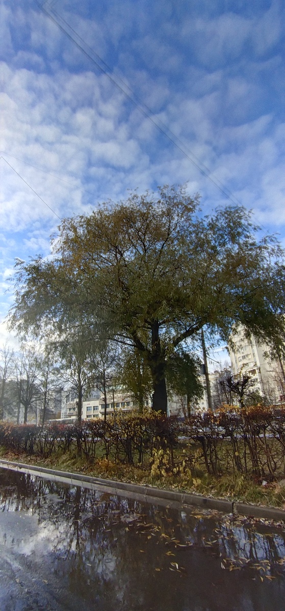 Личное фото