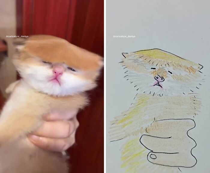 Источник: www.youtube.com/@caricature_daniya