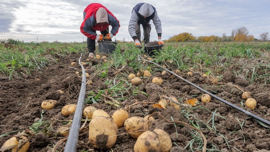    Автор фото: ТАСС