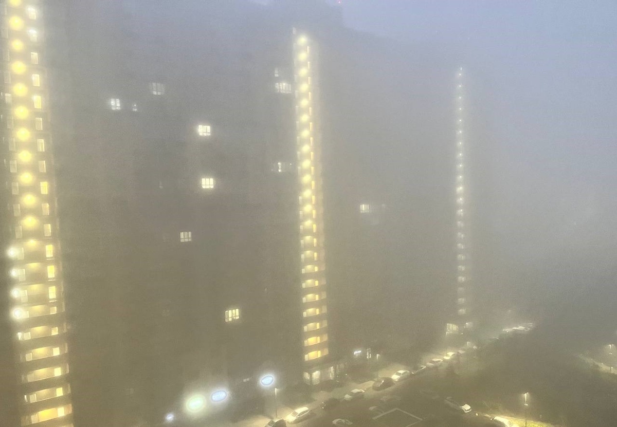 Фото: Утренний Юг