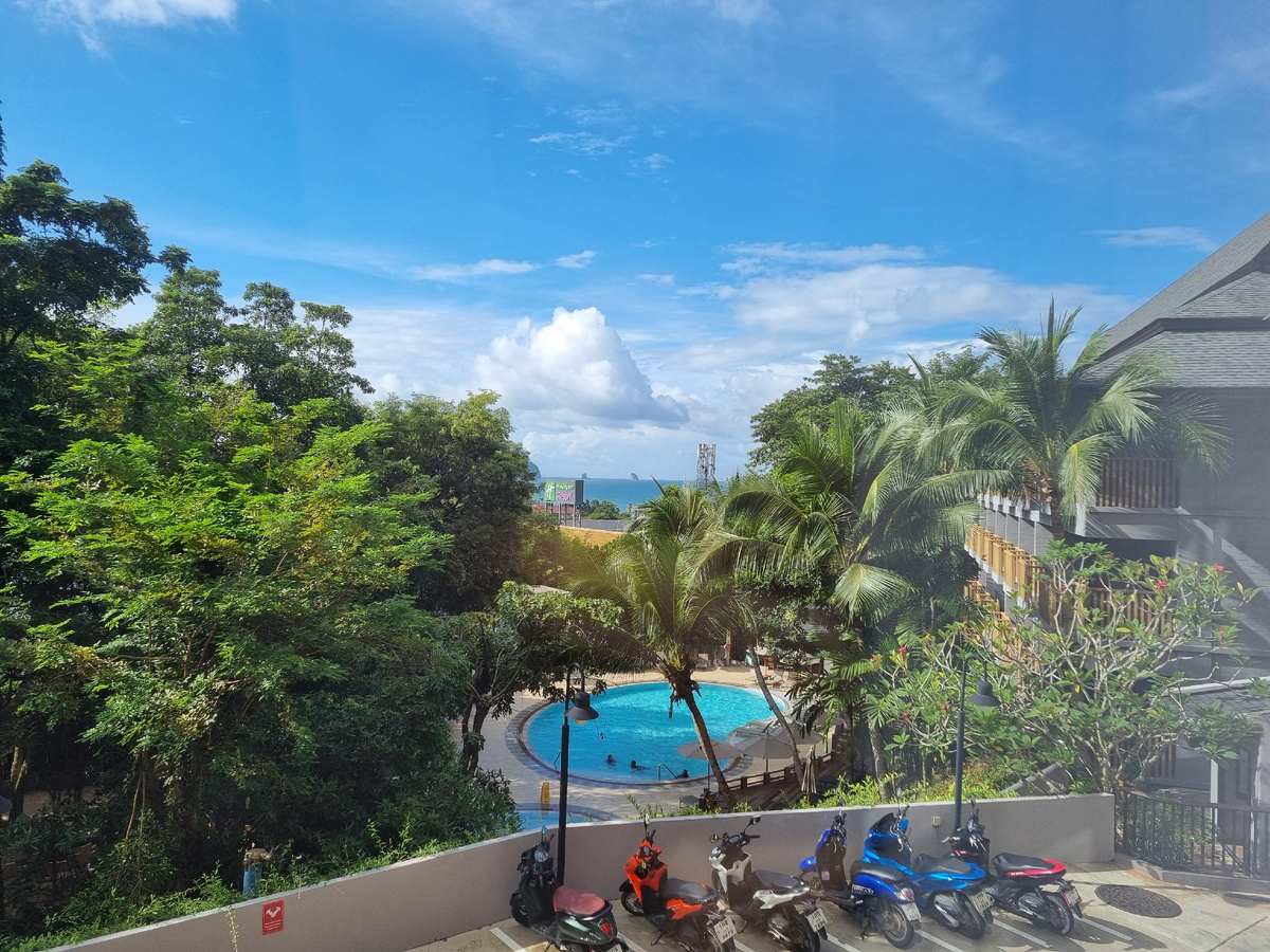 Вид из окна