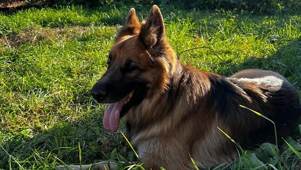     Источник: vostokmedia.com