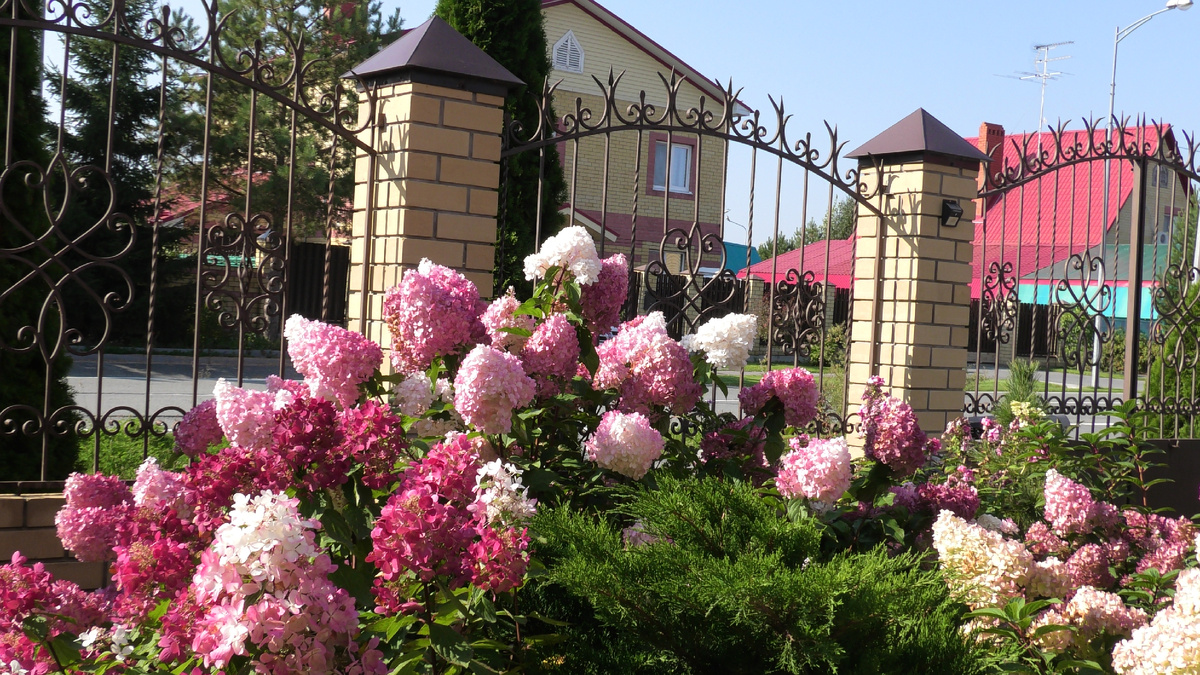 Фото из личного архива