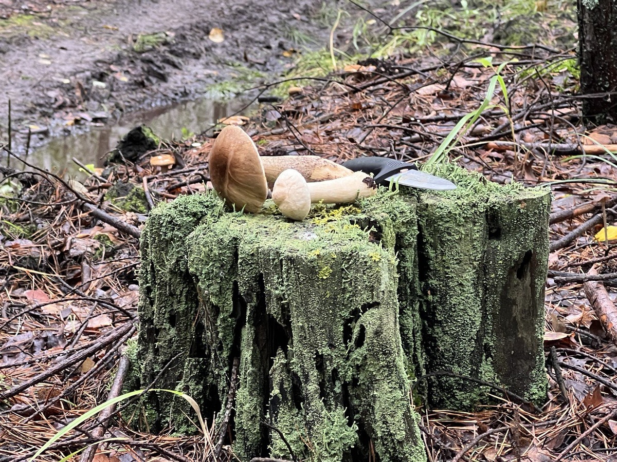 Фото из личного архива