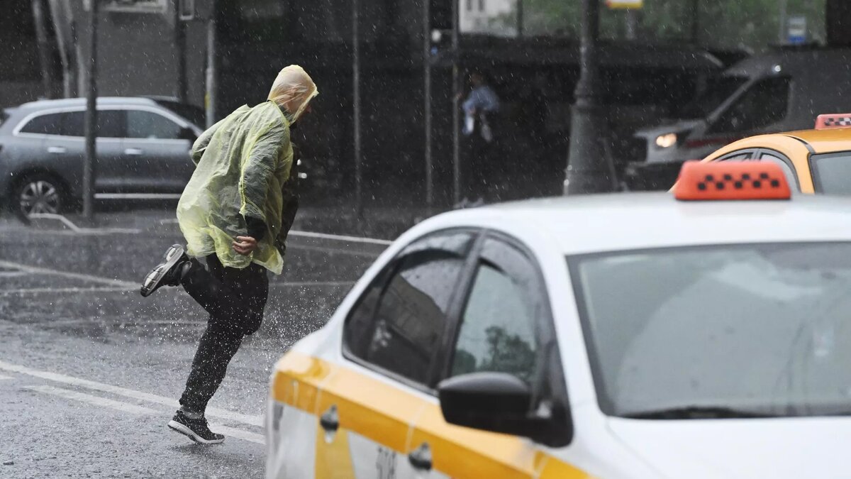 Фото: РИА Новости / Кирилл Каллиников