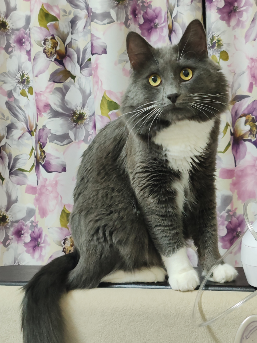 Фото автора канала. 