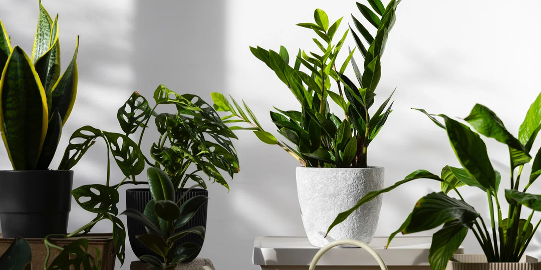 Что должно быть в арсенале цветовода