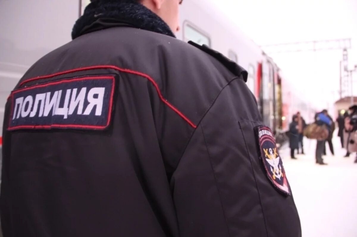    Пьяный житель Самары в поезде Пенза-Нижневартовск стал кидаться на людей