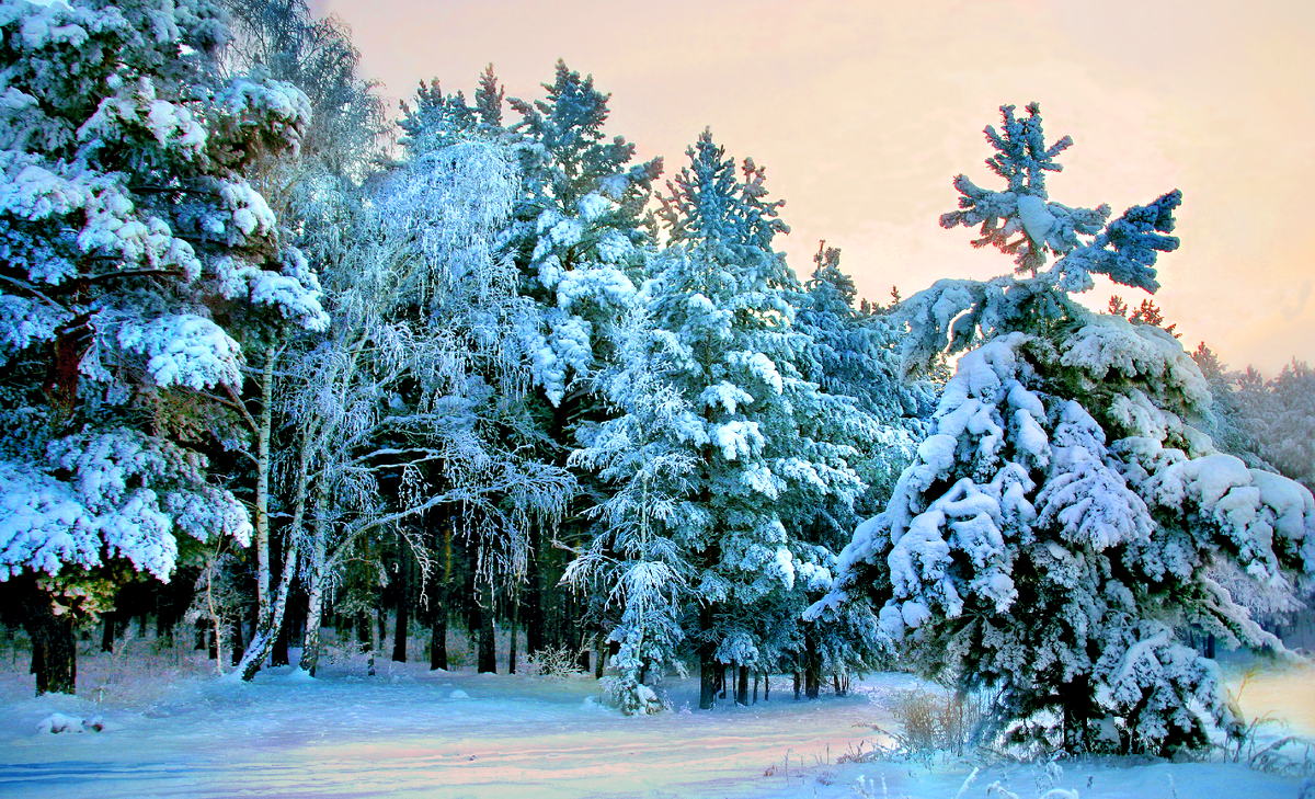 Фотография, стихотворение Василия Глуцкого