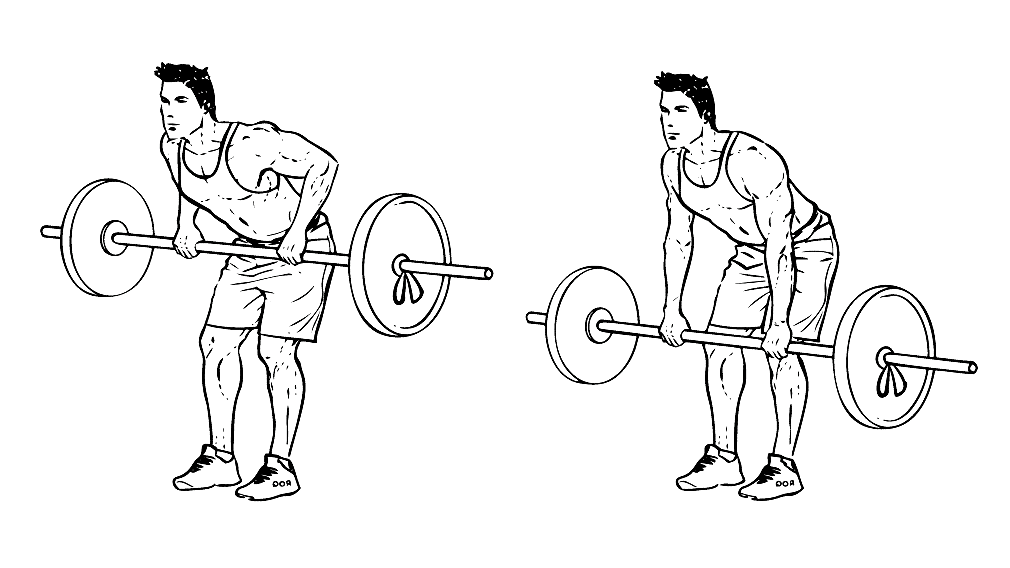 Тяга штанги в наклоне