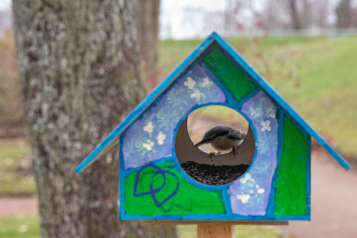 Фото: ГМЗ «Царское Село», Екатерина Новак