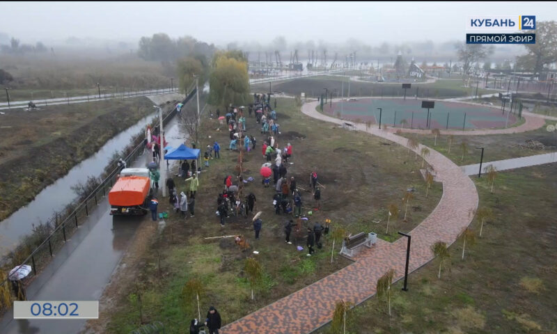    Видео канала «Кубань 24»