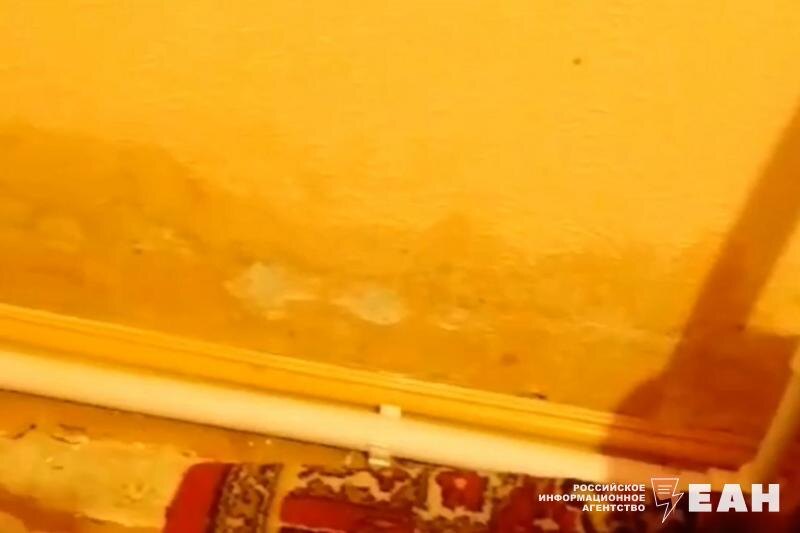    В частном доме отсырели стены после того, как кипятком залило подвал