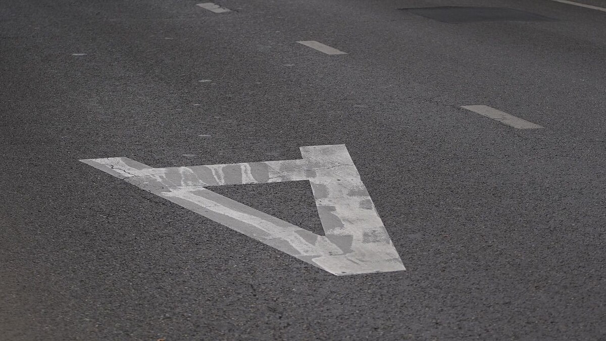    Фото: телеканал «Краснодар»