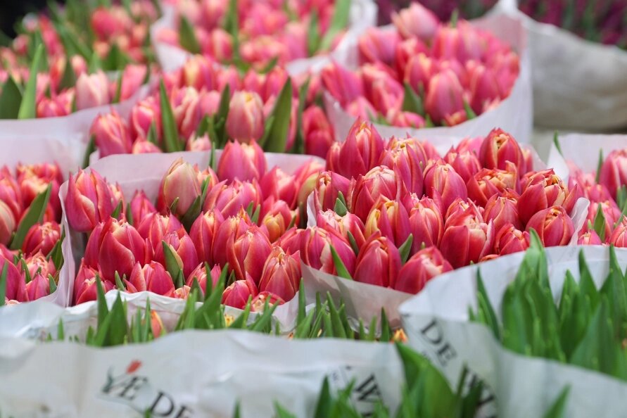    Bulkin Sergey/news.ru