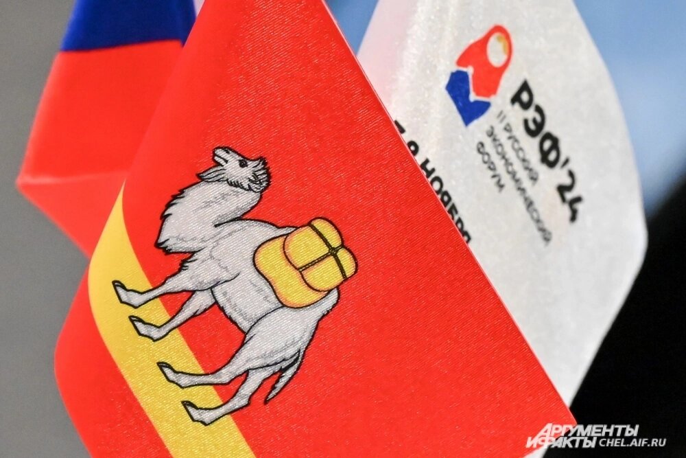    РЭФ-2024 собрал на площадке более трех тысяч человек. Фото:  АиФ