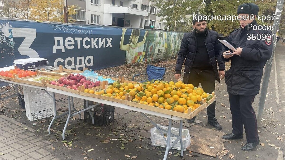    Фото: t.me/prikubanka_krd