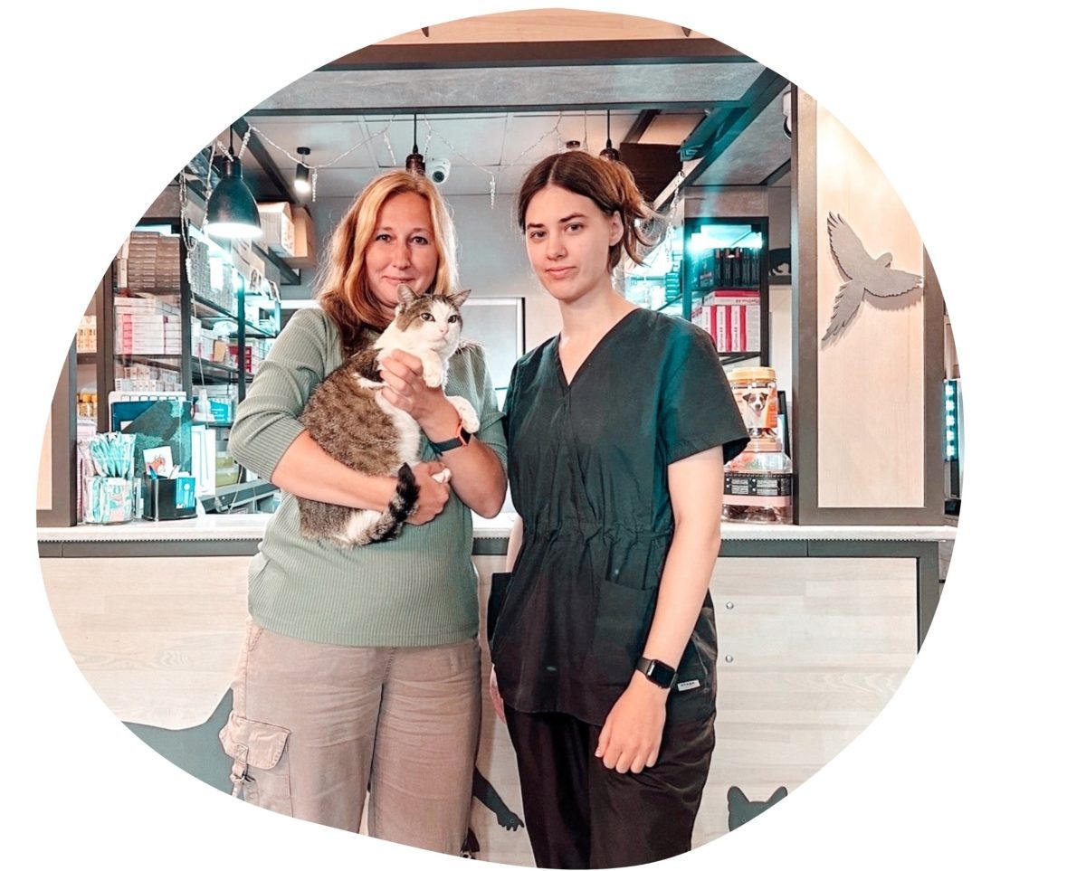    Кота Костю нашли на улице, пушистик хромал на переднюю правую лапу