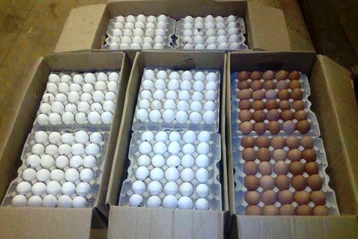    Фото прокуратуры Новосибирской области