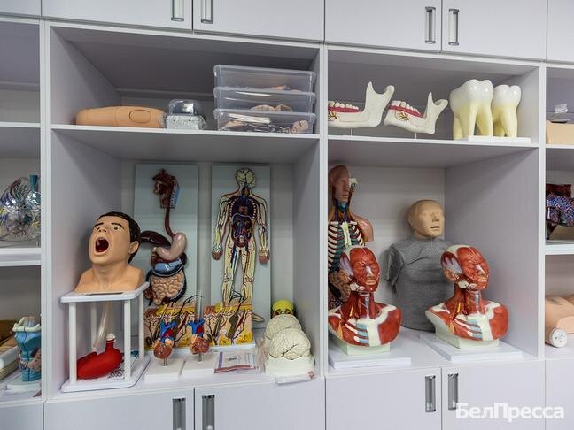 Фото: Алексей Дацковский 