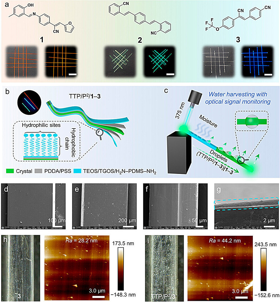    Journal of the American Chemical Society