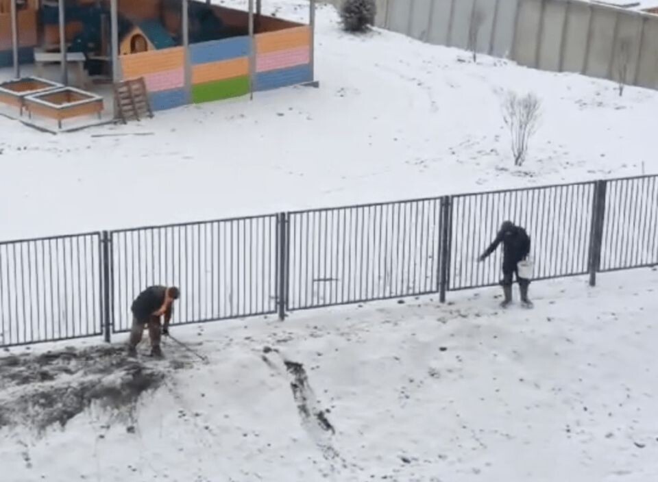    "Зимний" посев. Источник: кадр видео vk.com/tipichnyi_barnaul