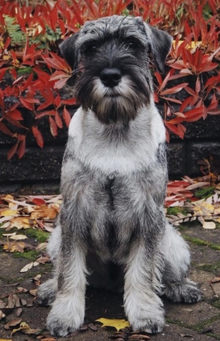 взято из галлереи яндекса.