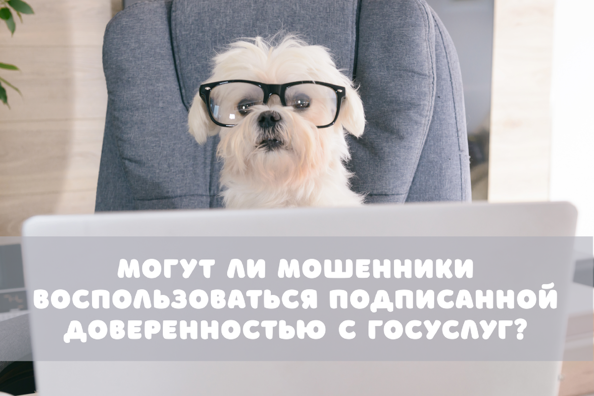 Фото: Shutterstock / Monika Wisniewska