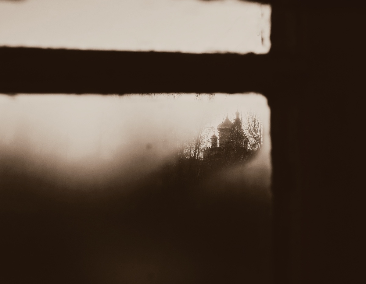 фото Надежды Павлючковой-Кочневой