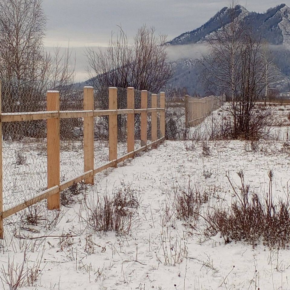    Забор. Источник: прокуратура Республики Алтай