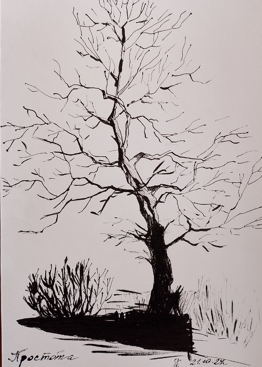 Орехова Ольга, Простота, Тушь, 2024г.