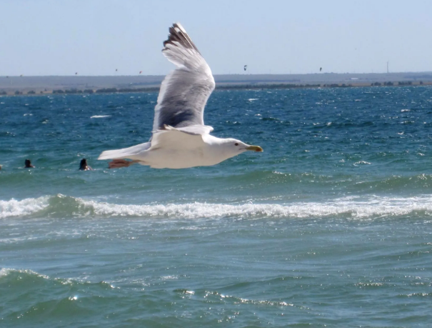 Фото из личного архива автора.