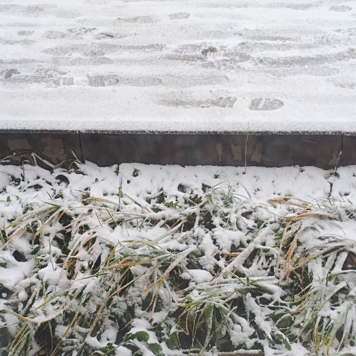 Ноябрь. Я не дома, скучаю. Снег идёт. Пасмурно, ветрено. Сижу вяжу. Просматриваю любимые каналы. И вдруг просьба показать спицы, что в органайзере моём. А почему бы и ДА! 