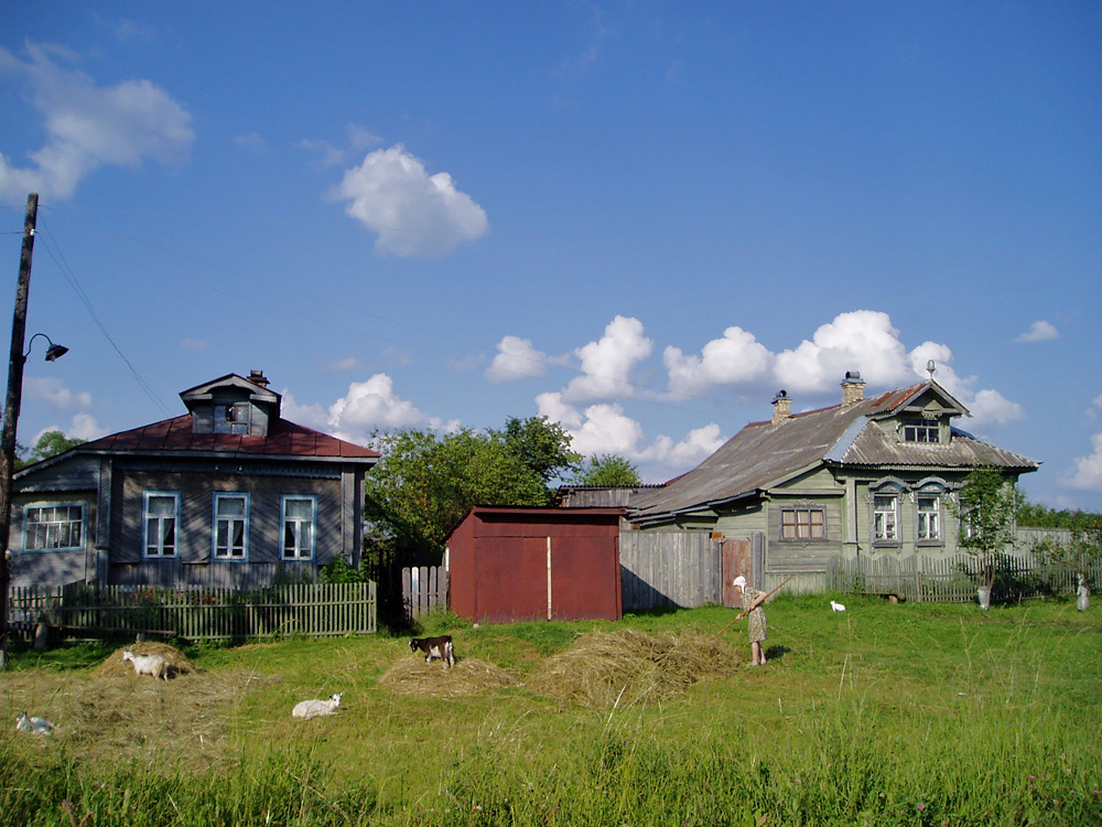 Сельские хлопоты.