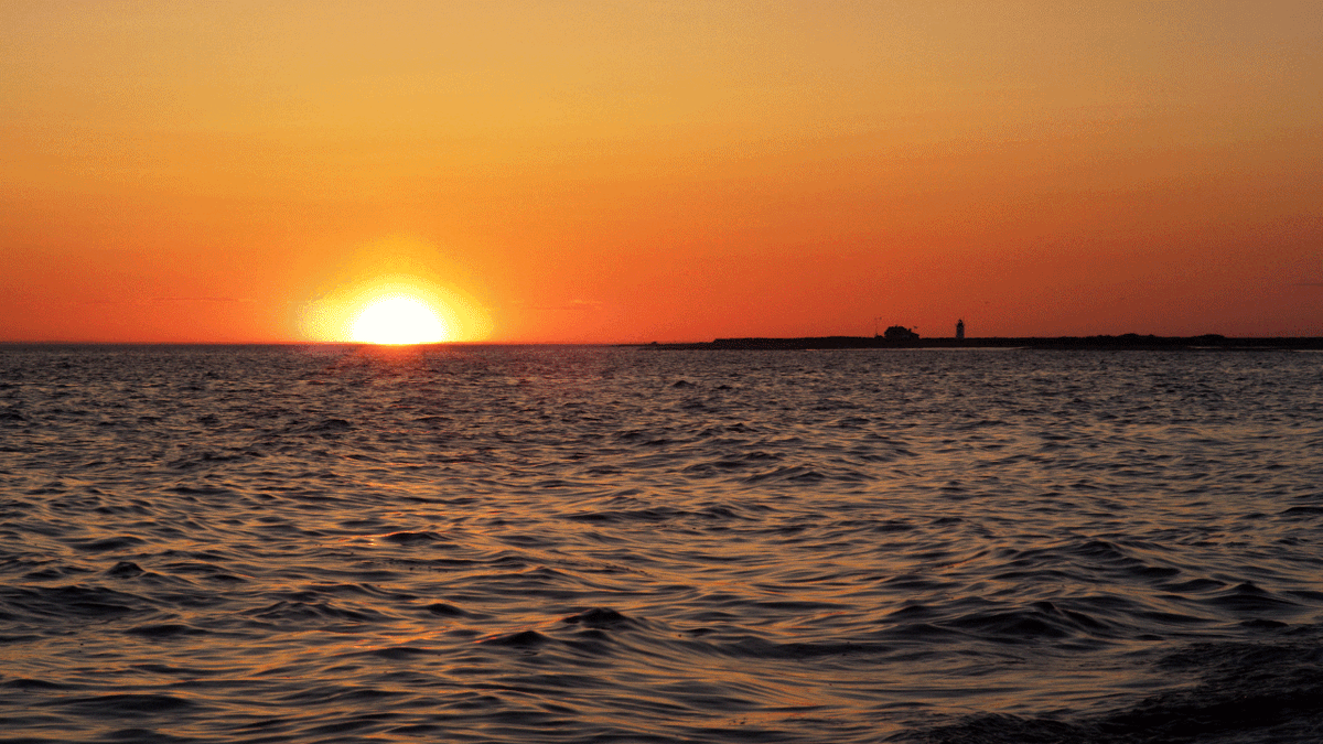 Фото: Яндекс картинки