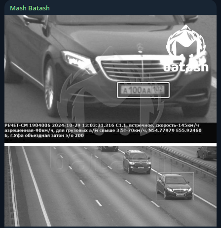    Фото: телеграм-канал Mash Batash