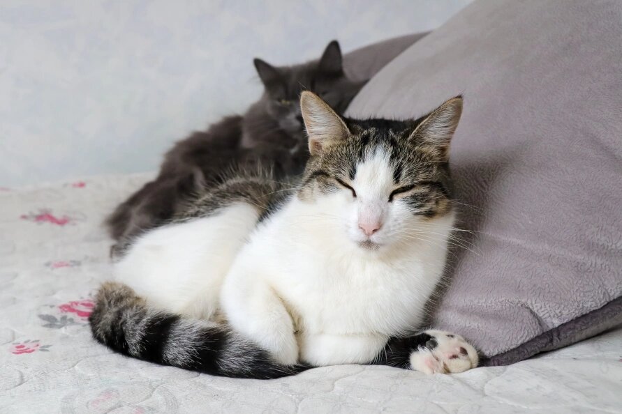    Elena Mayorova/Globallookpress