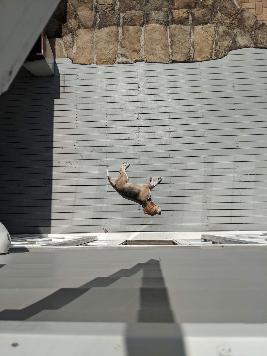 Источник: redd.it