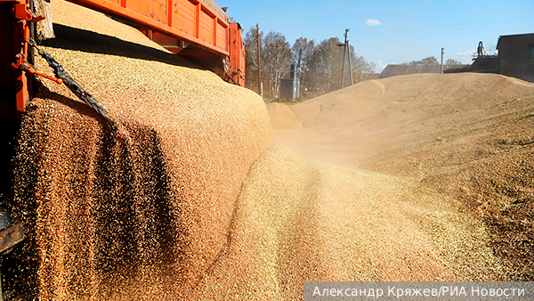     Фото: Александр Кряжев/РИА Новости   
 Текст: Дмитрий Зубарев