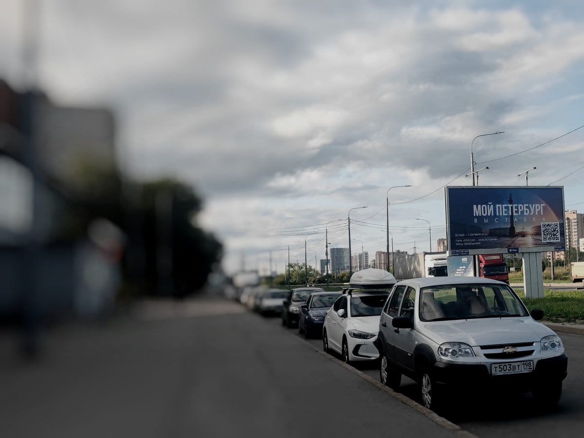 Купчино. Неподалеку от дома, где жила Тамара Самсонова