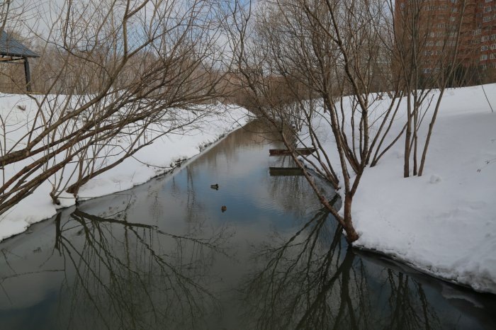 Фото мэрии Новосибирска.