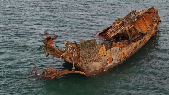     Фото: Минтранс Сахалинской области